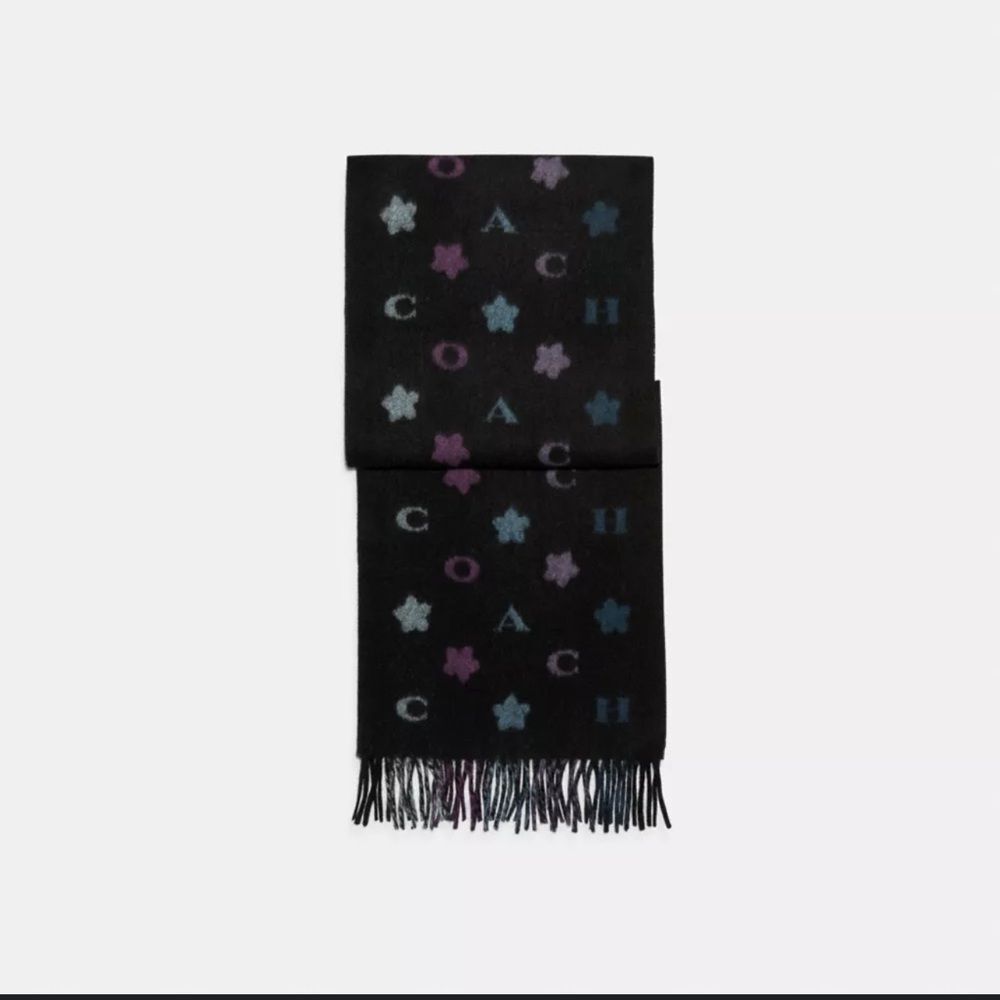 Coach multicolor muffler scarf